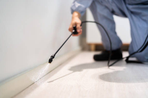 Professional exterminator conducting IPM assessment in Papillion